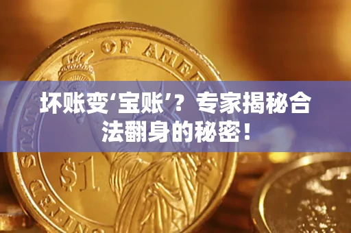 北京坏账变‘宝账’？专家揭秘合法翻身的秘密！