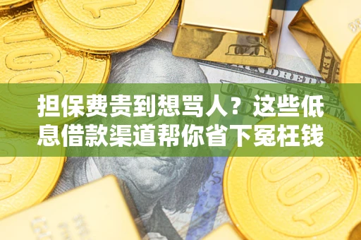 北京担保费贵到想骂人？这些低息借款渠道帮你省下冤枉钱