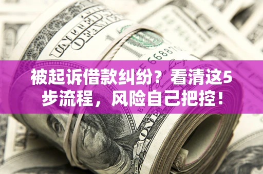 北京被起诉借款纠纷？看清这5步流程，风险自己把控！